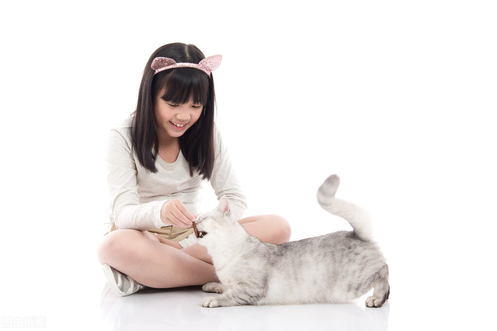 养一只猫一年要花费多少,养一只猫一年要花费多少钱