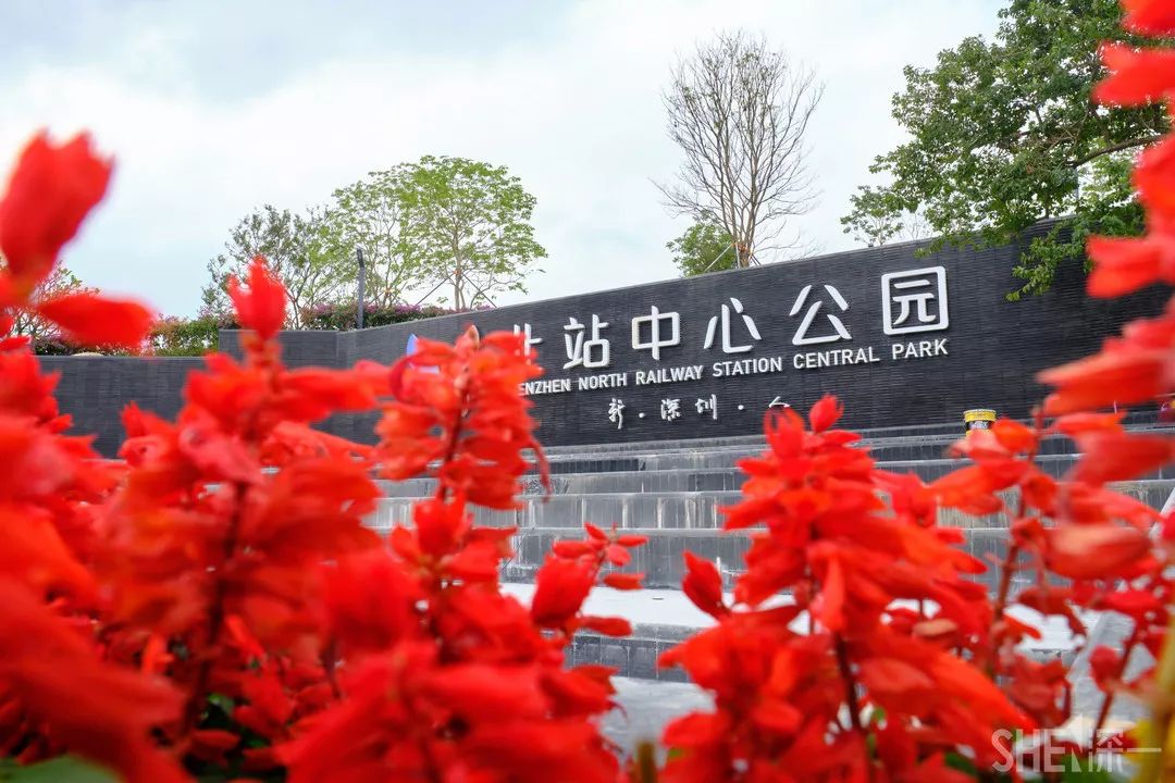 深圳网红公园地铁站,深圳地铁最近有什么公园