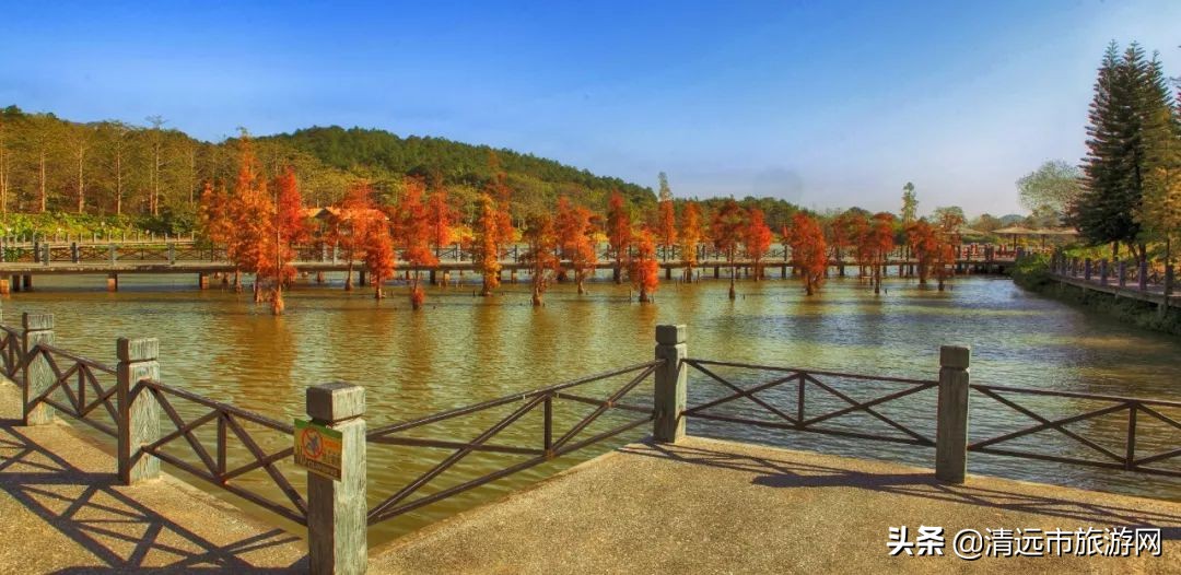 寒假亲子游推荐4-5天游,暑假亲子游玩地点推荐3天2夜