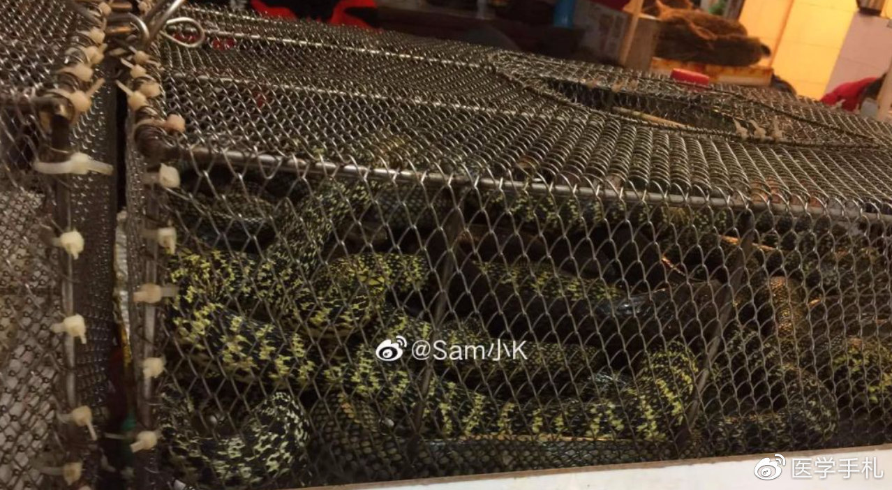 辟谣食物安全,辟谣吃人参可以挽救生命吗