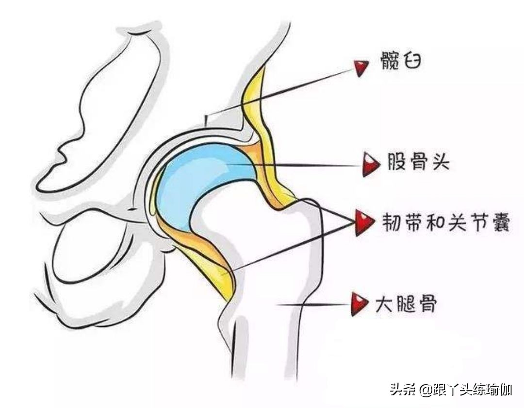 只要努力练习就会成功,只要努力练习就一定会有成果