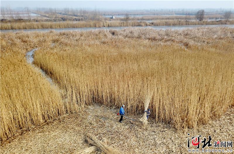 大河之北风景区,大河之北清东陵
