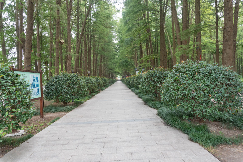 乘着高铁去踏青赏景,乘着高铁游扬州高邮北