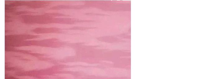 孔克珠是不是珍珠,孔克珠珍稀品种