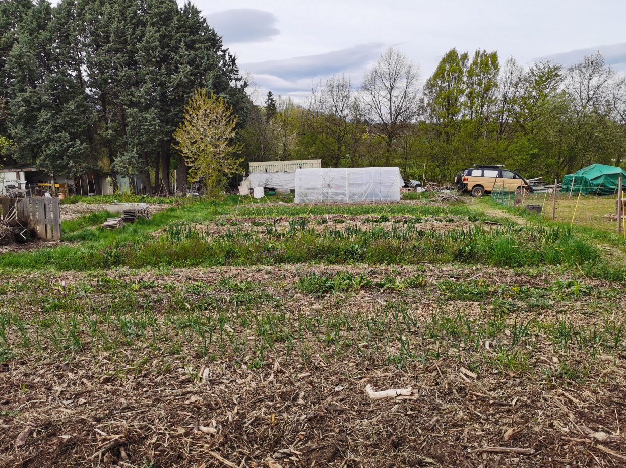 瑞士小朋友的秘密世界原来在这里，学会爱，从孩子的自然教育开始