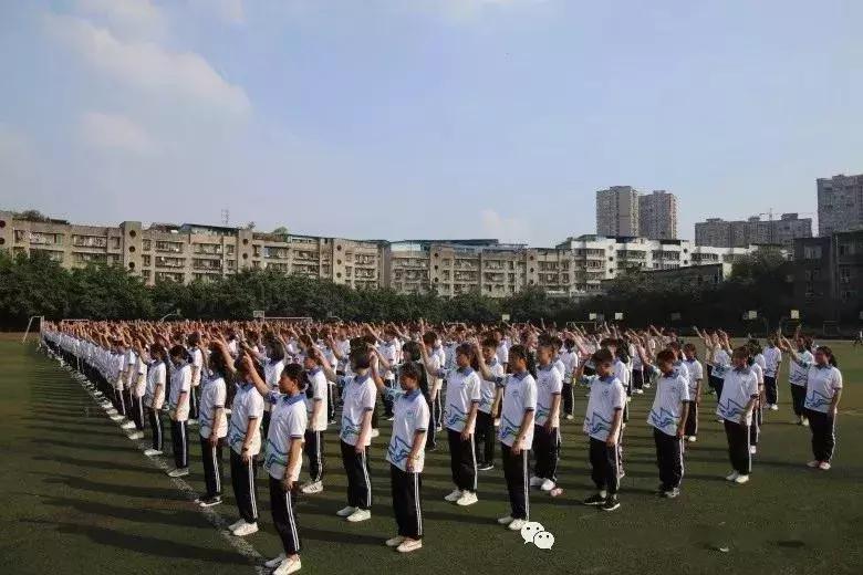 全球启动！仁寿城市发展再升级，牛牛牛！