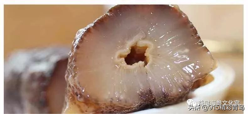 中国最好的海刺海参,黄金刺参西沙群岛深海纯野生海参