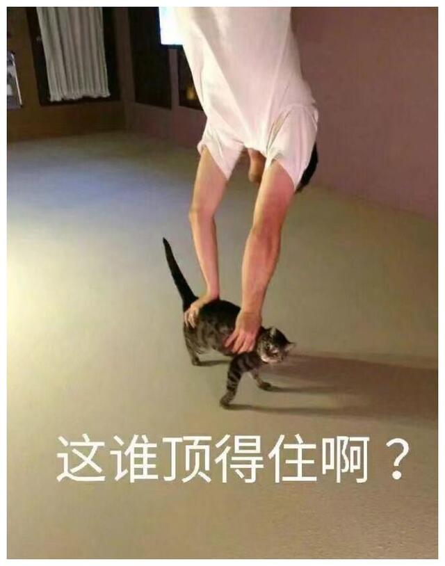 你闻过最臭的气味,你闻过最难闻的东西