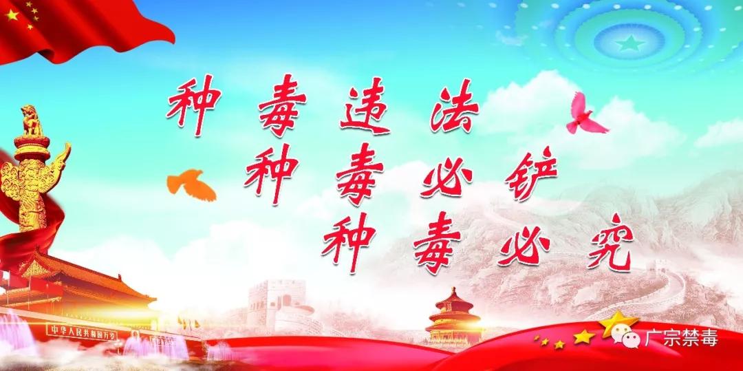 警惕新型毒电子产品,警惕毒品披着羊皮的狼