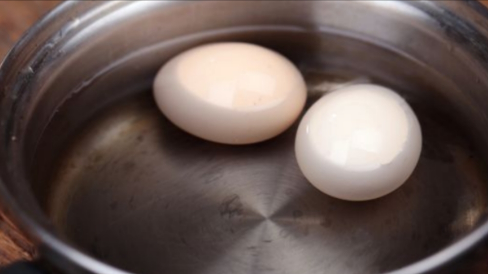 浜虹墿楗涔犳儻,浜虹墿椋庢櫙缇庨鎬庝箞瀹夋帓