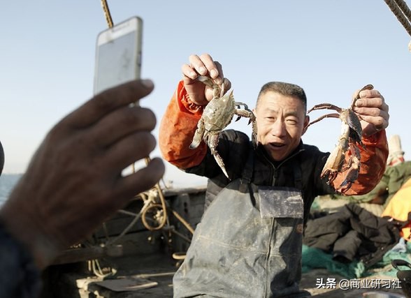 渔民直播卖虾,小渔村卖海鲜一年赚50亿