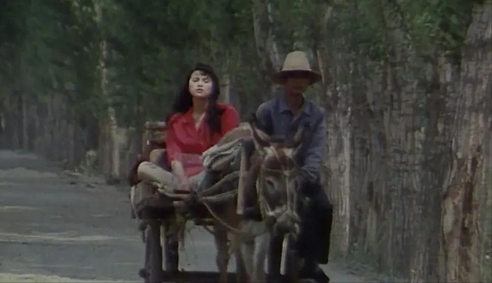 石兰演过什么片,女星石兰