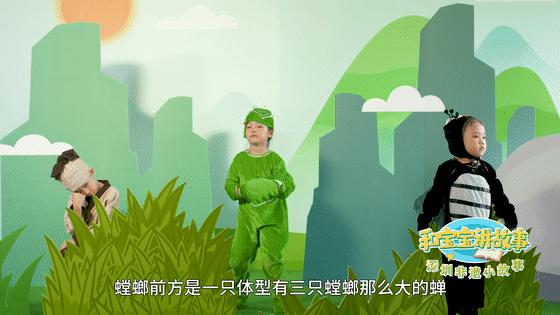 螳螂拳的深度解析,螳螂拳有几种