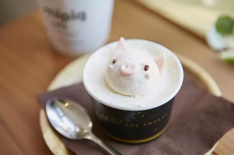 猫咪必去的咖啡馆 (猫咪咖啡厅有什么)