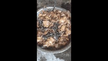 上海猫贩子扔出几十只病重品种猫,上海后院猫舍丢弃50多只病猫