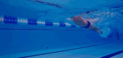 中游体育自由泳手脚配合视频,中游体育为什么自由泳打腿不前进