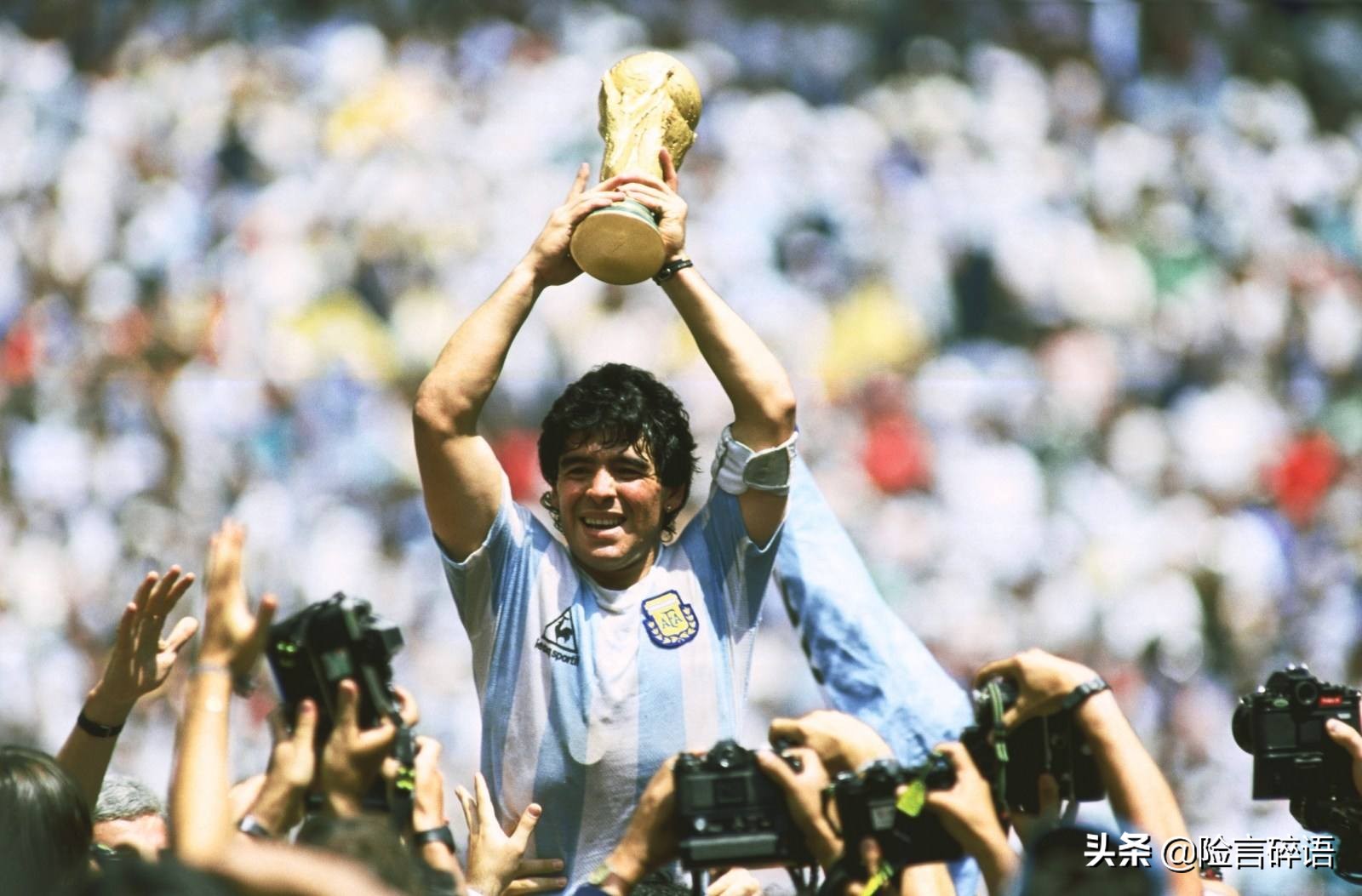 险言碎语74集,马拉多纳死亡保险公司赔不赔