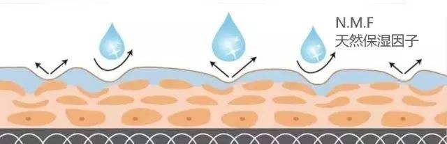 男士冬天油性肌肤用什么护肤,油性肌肤有粉刺如何护肤