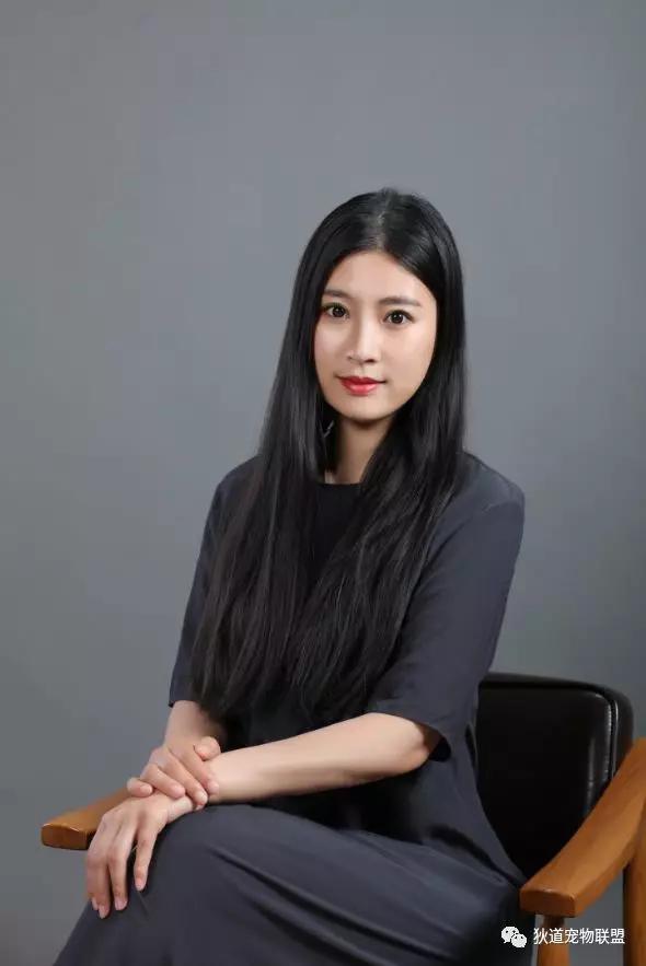 正规宠物培训学校价格多少,宠物培训学校北京哪家好