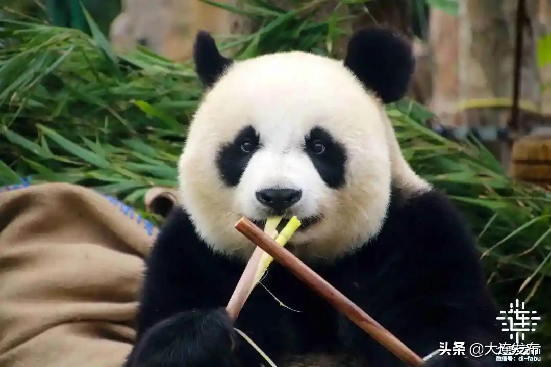 黄金周不打烊,黄金周不出门