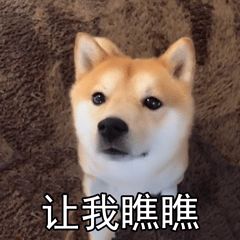 深圳高端幼儿园是哪些,深圳光明高端幼儿园