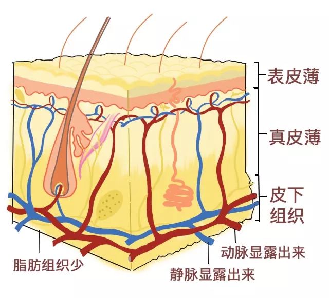 9个日常生活去黑眼圈小妙招,比较严重的黑眼圈怎么处理