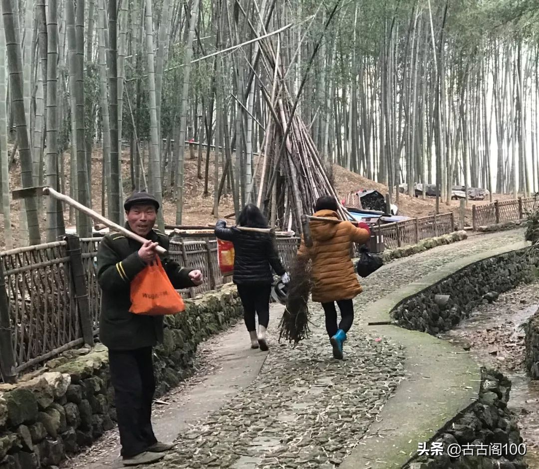 萧绍古道完整版,萧绍古道高度