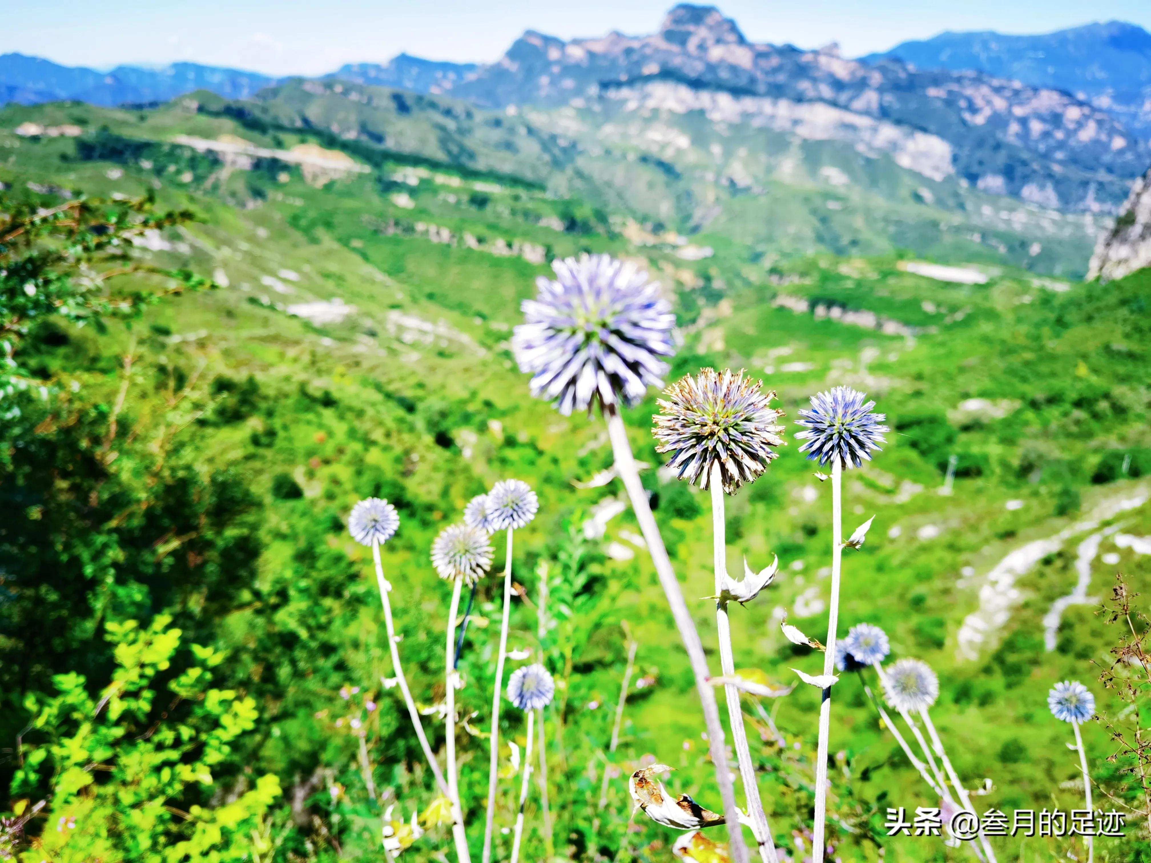 北京房山风景优美的旅游地,北京房山附近风景好的地方
