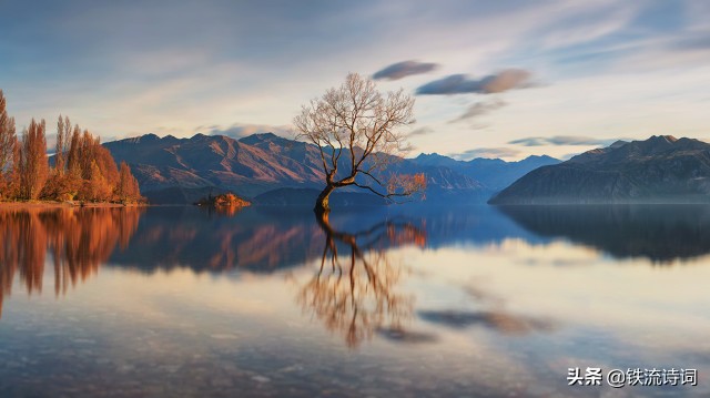 马庆武｜咏秋.七绝四首