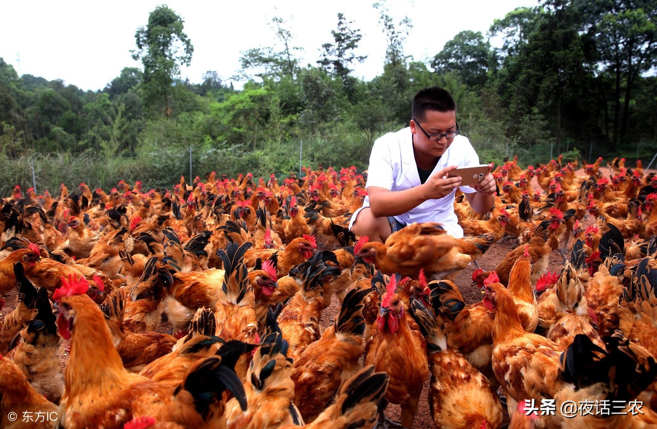 返乡青年回农村创业事迹,农村返乡青年