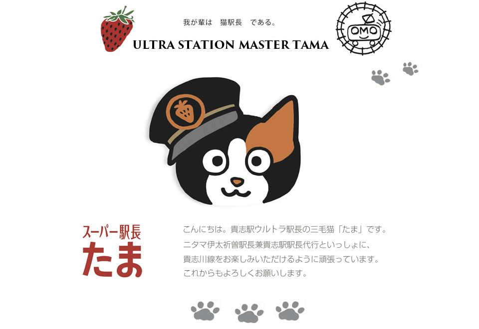 告别流浪猫展览再现12个吸猫圣地,最治愈的吸猫胜地