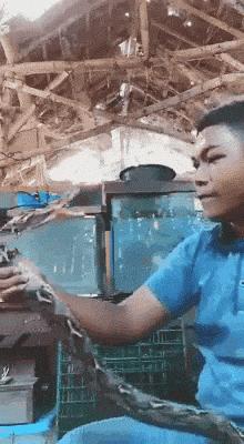 男士家庭地位动图,家庭地位动漫图