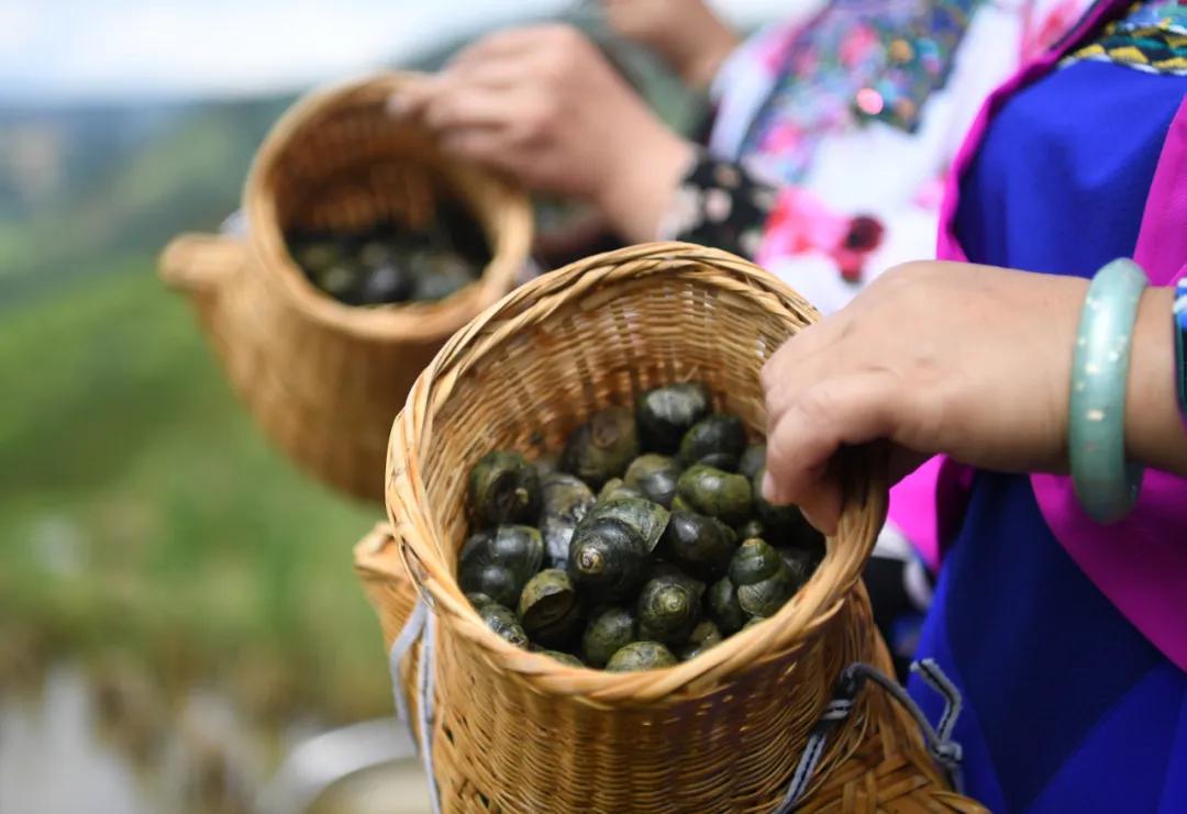 2021柳州螺蛳粉青年创业,至尊柳州螺蛳粉