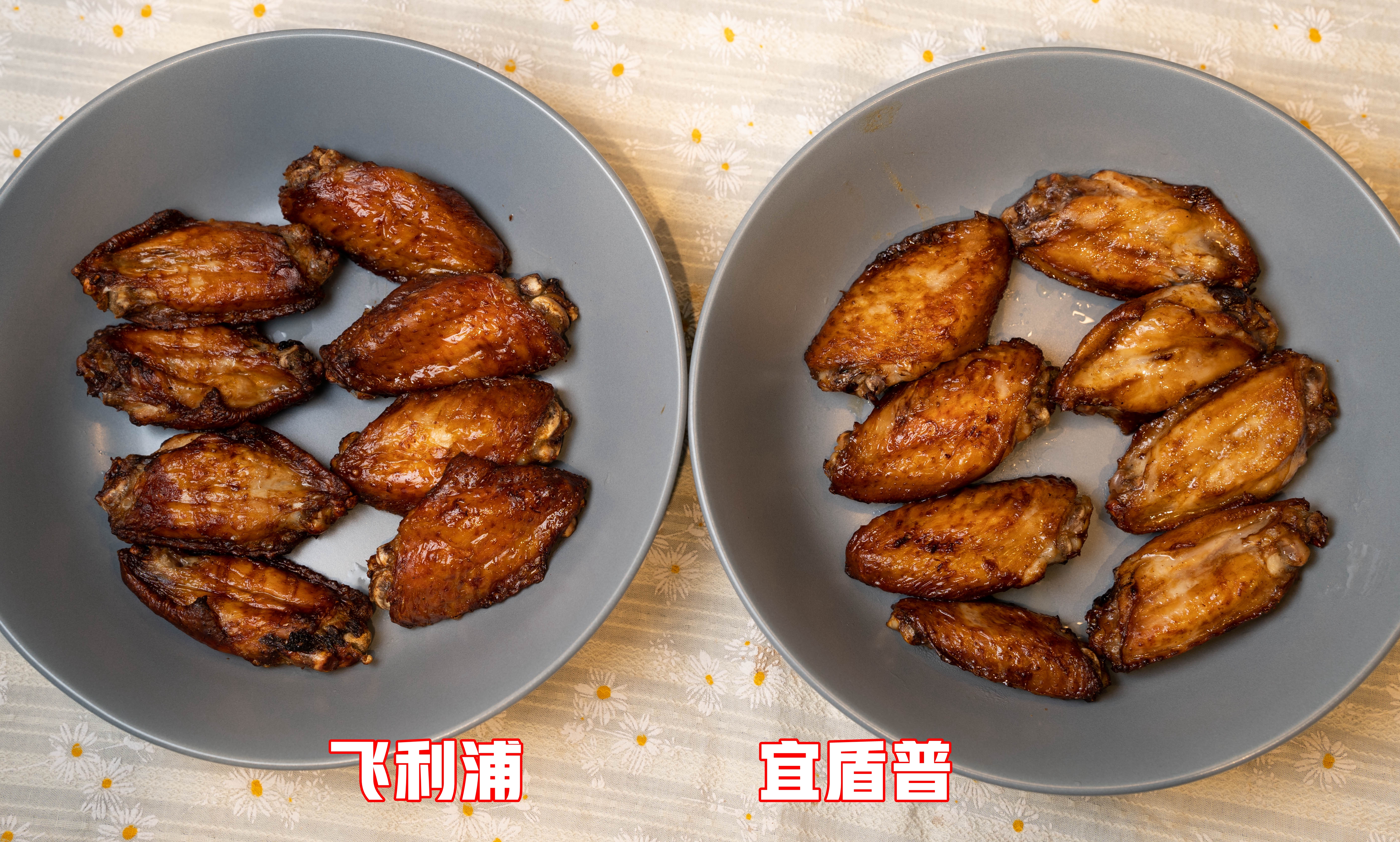 飞利浦空气炸锅前十名测评,宜盾普净饮机和飞利浦哪个好