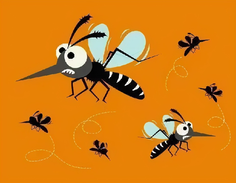 蚊子叮人对血型有要求,蚊子叮人要分血型吗