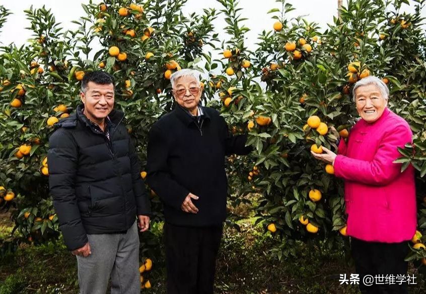 褚时健的管理经验与借鉴,褚时健只要用心做事都能成功