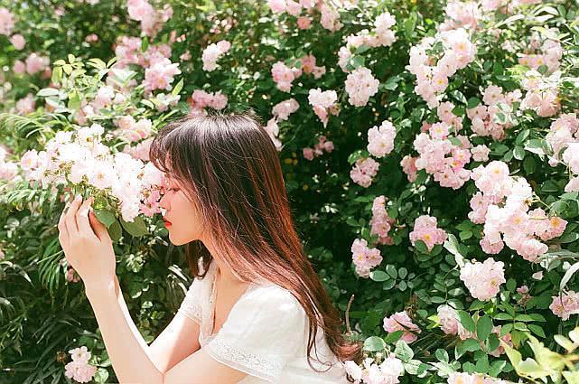 满架蔷薇一院香，开到荼靡花事了