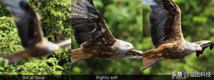 微单拍鸟最好的相机,微单拍人像哪款相机好