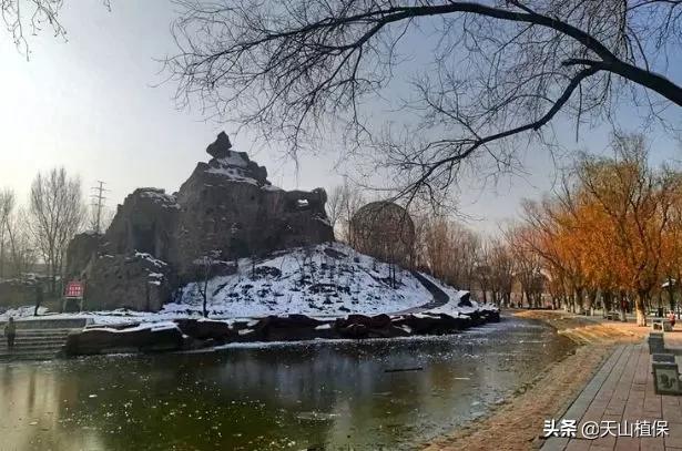 乌鲁木齐90后的南门回忆,乌鲁木齐人民公园记忆