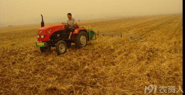 河南适合种植高产玉米,玉米高产高效种植技术