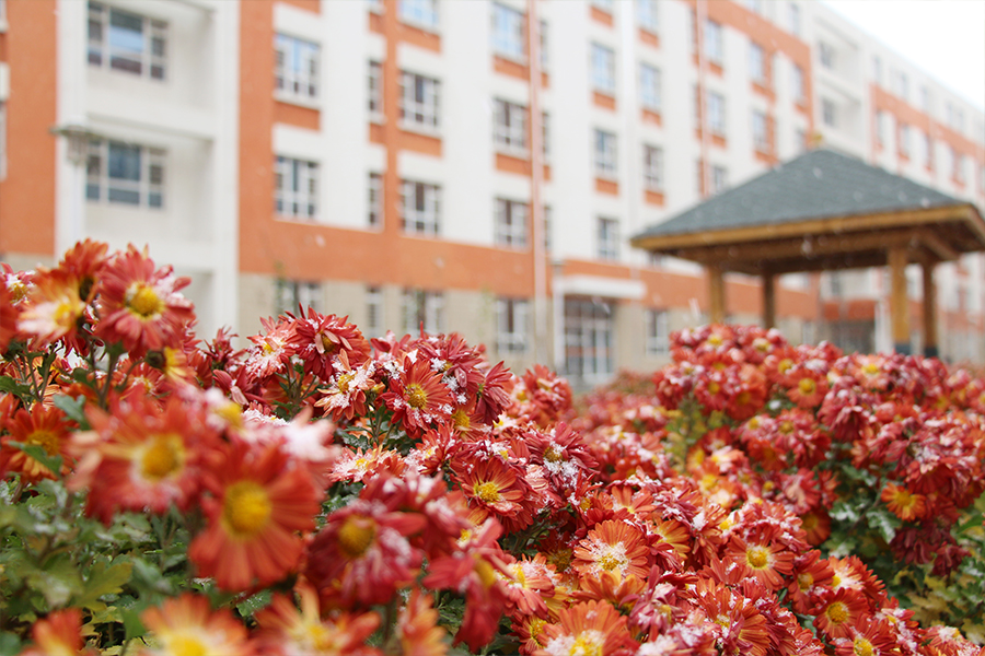 雪中的校园风景,坐落在雪山戈壁上的学校真美丽