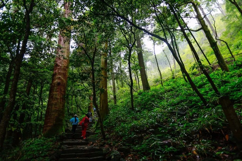 安徽十大经典古道,安徽十条古道