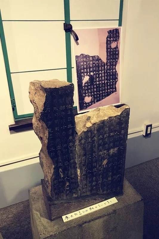 文化交流之旅,文化交流学习活动