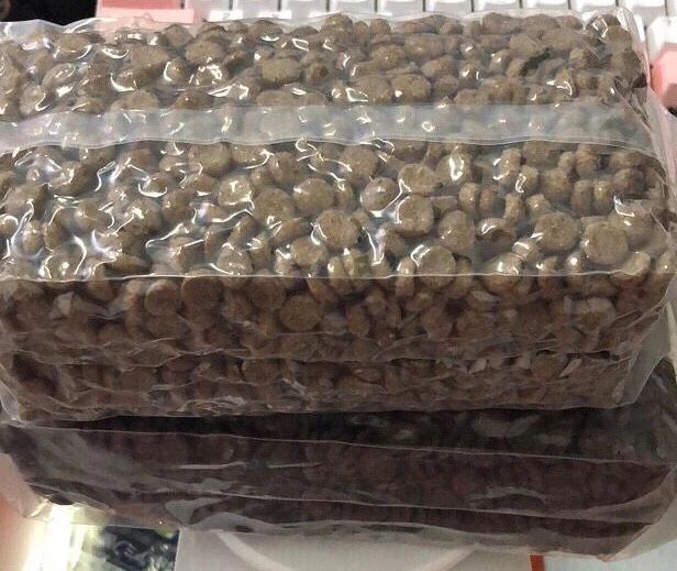 为什么不建议给猫吃廉价猫粮,猫咪现在还能吃的进口粮