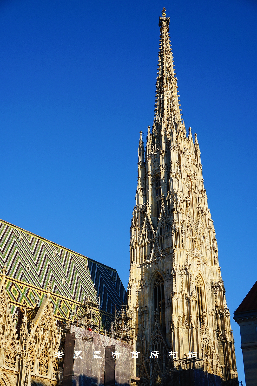 世界音乐之都维也纳800岁的“南京路”：去买茜茜公主的同款香水