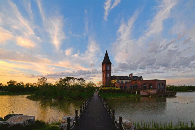 今年武清区有什么大发展,关于天津武清区发展报告