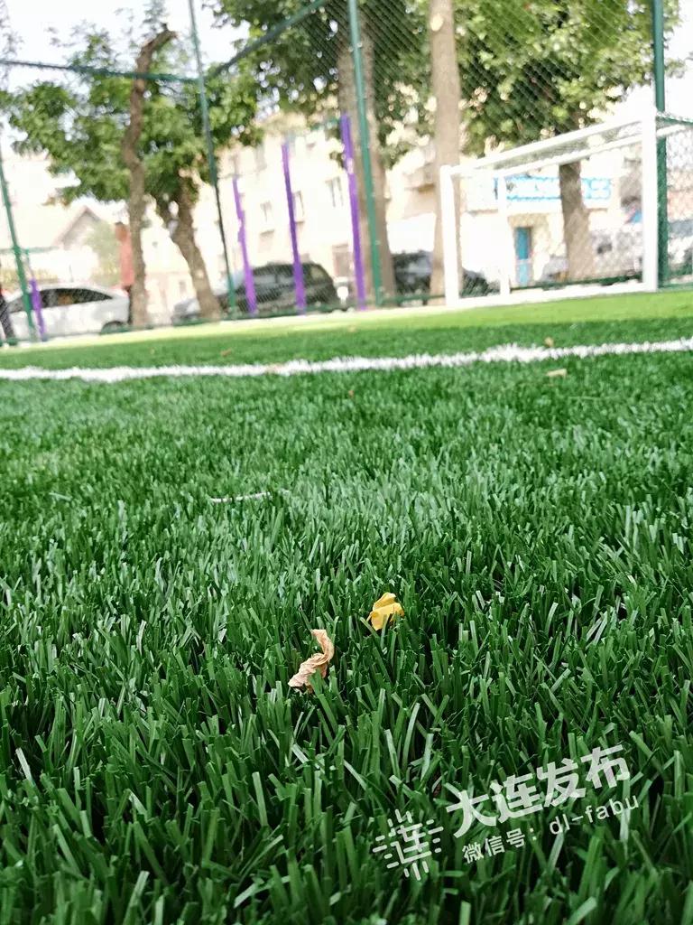 社区足球场项目,体验专用足球场