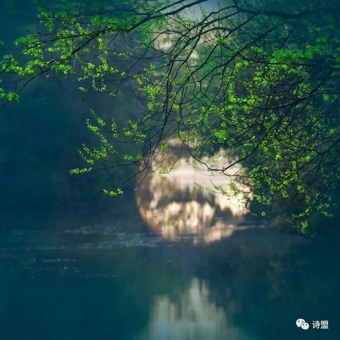 浙江作协诗歌委员会,浙江作协