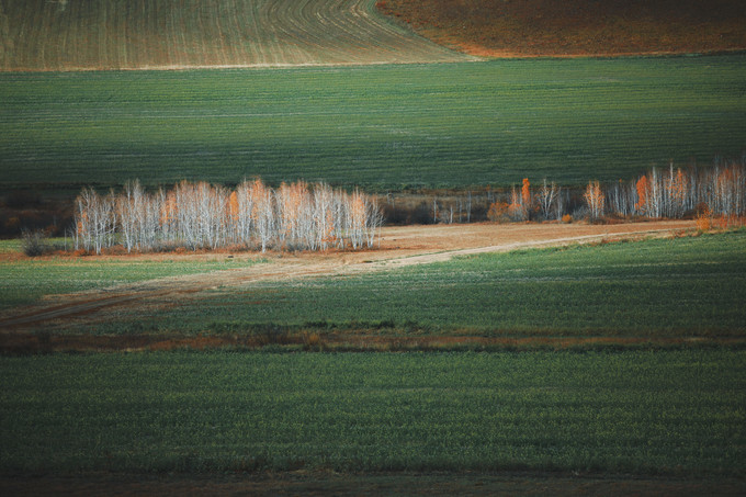 自驾呼伦贝尔|七千里路云和月,写给秋天和自己的故事