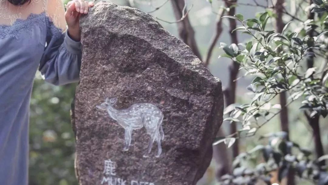 莫干山裸心谷门票,莫干山裸心谷团购